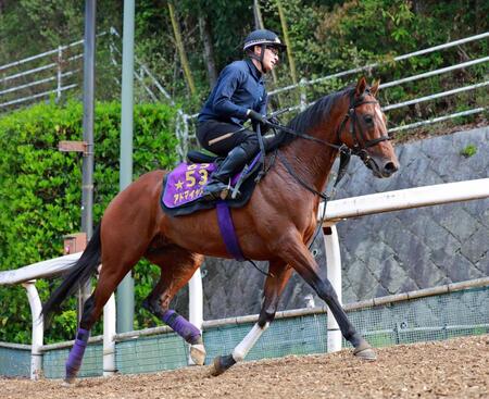 復活ののろしを上げたいアドマイヤズーム　
