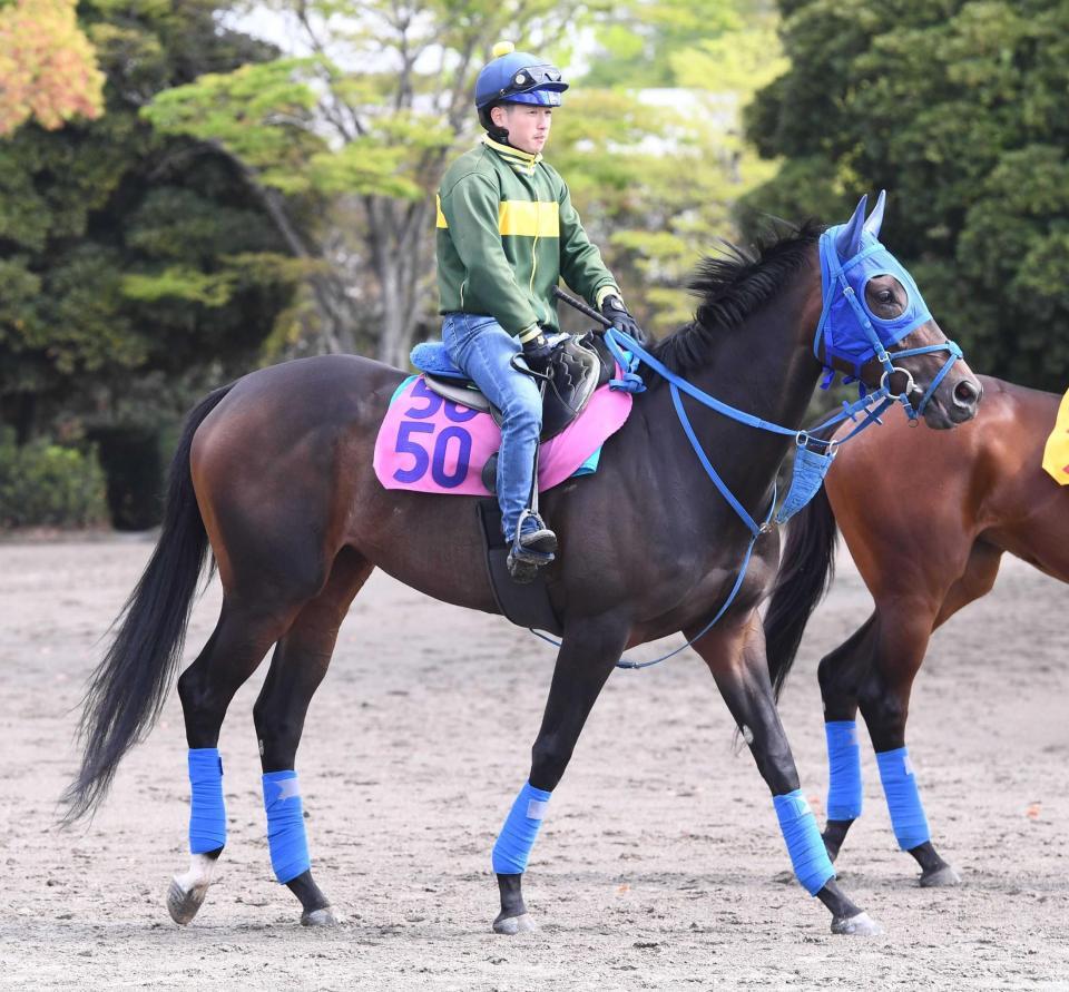 　樫切符獲りに燃えるラフターラインズ