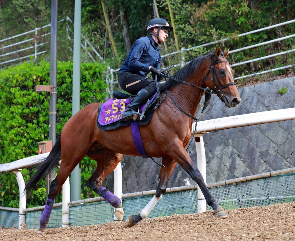 復活ののろしを上げたいアドマイヤズーム　