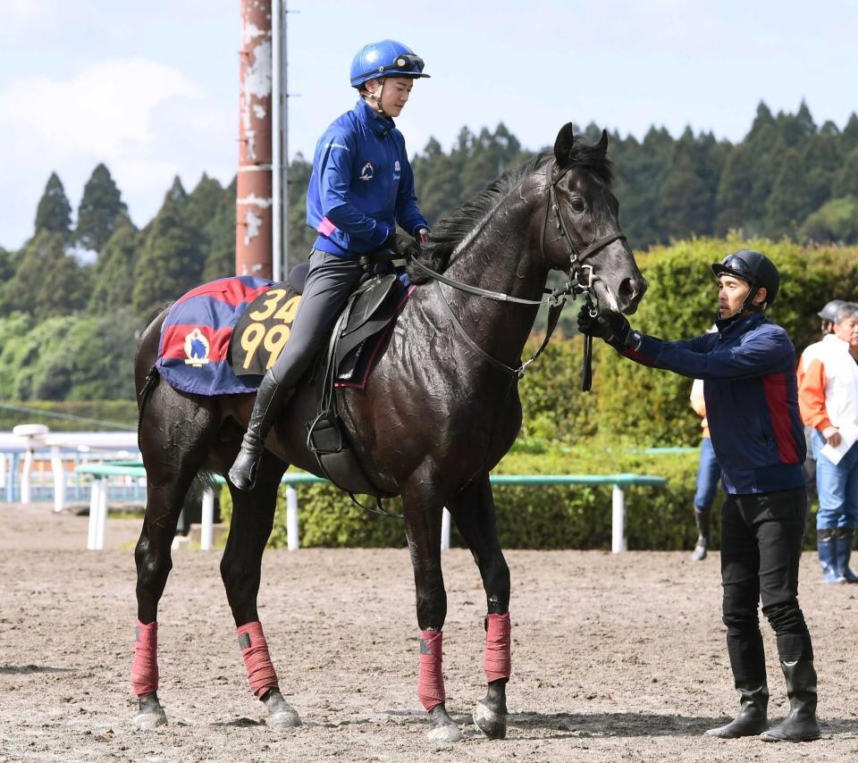 無傷３連勝でダービー出走権獲得を狙うノーブルサヴェージ