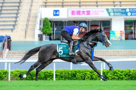 　芝コースで軽快な動きを見せたマスカレードボール　©Ｔｈｅ　Ｈｏｎｇ　Ｋｏｎｇ　Ｊｏｃｋｅｙ　Ｃｌｕｂ
