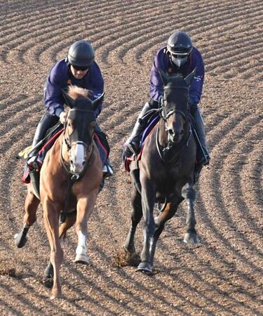 　着実に状態を上げているヘデントール（右）