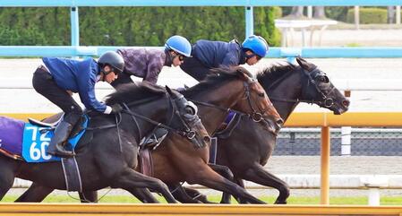 　３頭併せできっちりと先着を決めたクロワデュノール（右）