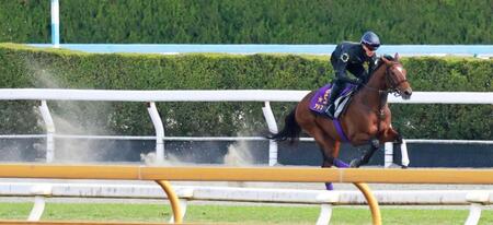 　復権へ向けて態勢を整えたアドマイヤズーム（撮影・石湯恒介）