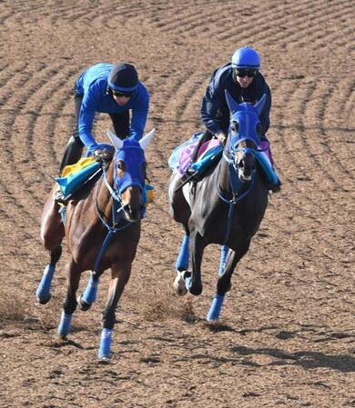 　レーンを背に鋭い動きを見せたラフターラインズ（右）