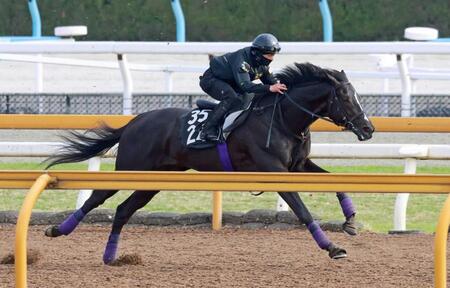 　栗東ＣＷで順調ぶりをアピールしたブラックオリンピア（撮影・石湯恒介）