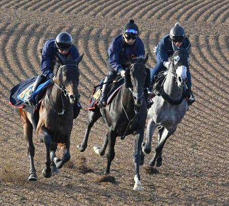 　意欲的な内容で追われたアローメタル（中央）＝撮影・持木克友