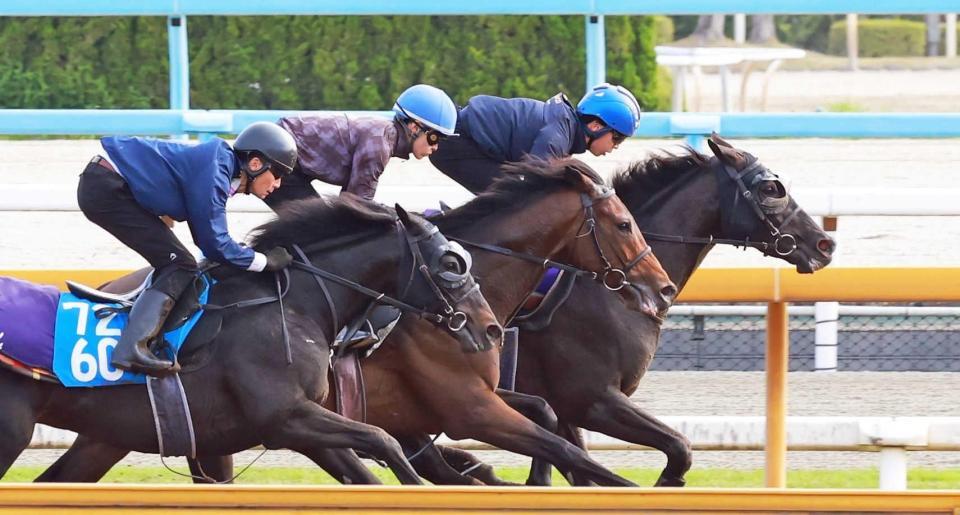 　３頭併せできっちりと先着を決めたクロワデュノール（右）