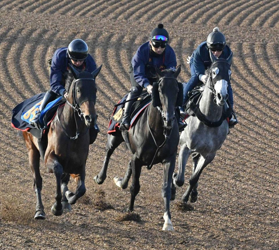 　意欲的な内容で追われたアローメタル（中央）＝撮影・持木克友