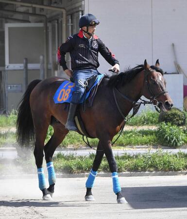 　厩務員としてのデビュー戦を迎える国枝元調教師（撮影・持木克友）