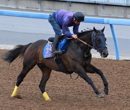　美浦Ｗを単走で追われたシックスペンス