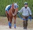 【京都＆東京の危険な人気馬】ウォーターリヒト　京都11Ｒ・マイラーズＣ