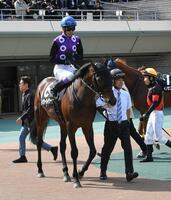 武騎乗のトクシーカイザーを引いて周回する国枝きゅう務員（右）＝撮影・持木克友