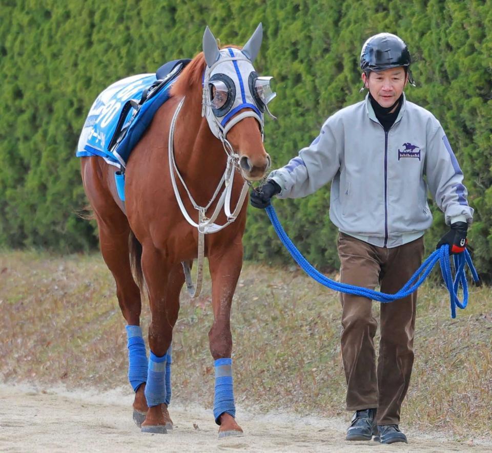 ウォーターリヒト