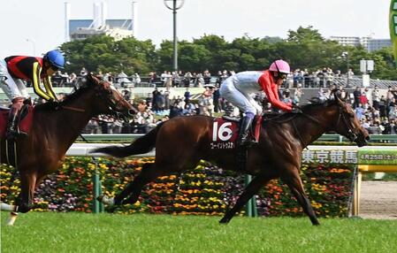 　直線で突き抜けたゴーイントゥスカイ（撮影・持木克友）