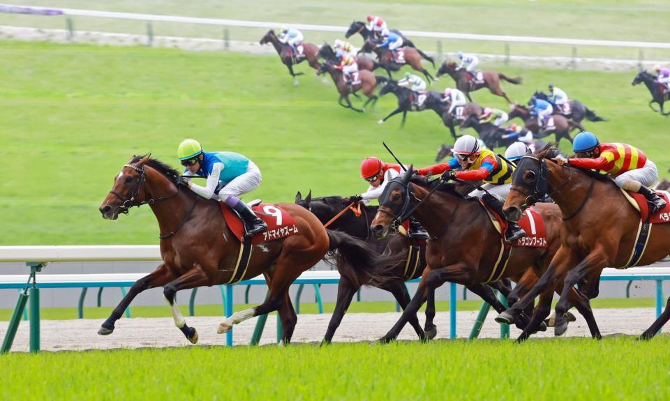 復活ののろしを上げたアドマイヤズーム（左）＝撮影・石湯恒介