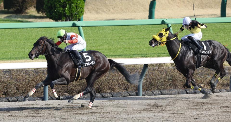 伏竜Ｓを制したダノンバーボン（左）＝３月２８日
