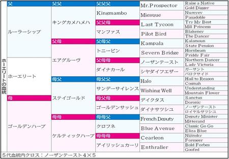 　スピード色の濃い母系からスタミナが引き出されているホーエリート