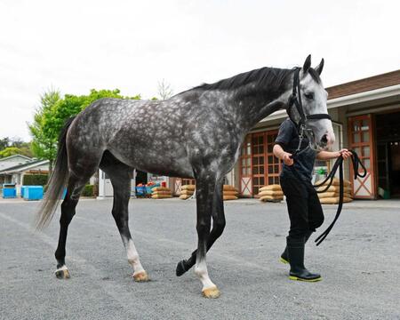 　名手とのコンビでＧ１初制覇を狙うアドマイヤテラ