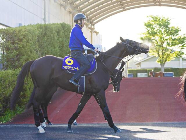 天皇賞】クロワデュノール 最強証明だ 17年キタサンブラック以来の