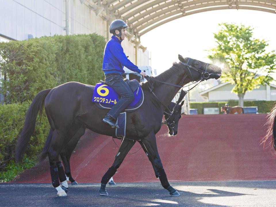 　キタサンブラックとの父子制覇を狙うクロワデュノール
