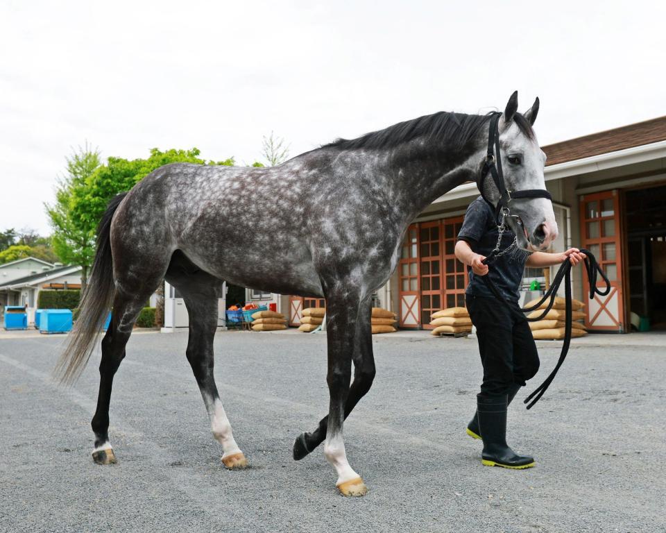 　名手とのコンビでＧ１初制覇を狙うアドマイヤテラ