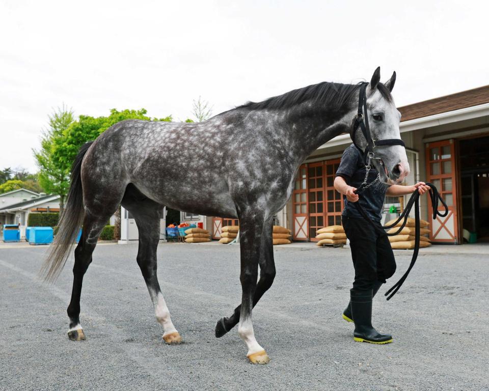 　名手とのコンビでＧ１初制覇を狙うアドマイヤテラ