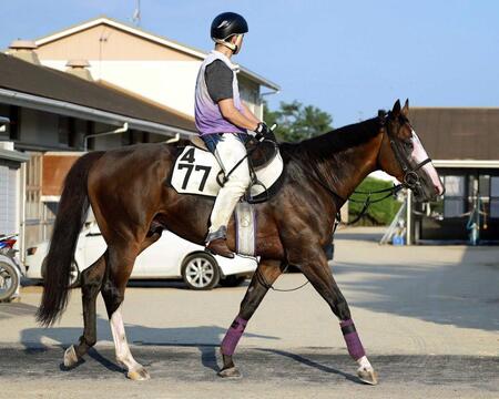 カンチェンジュンガ