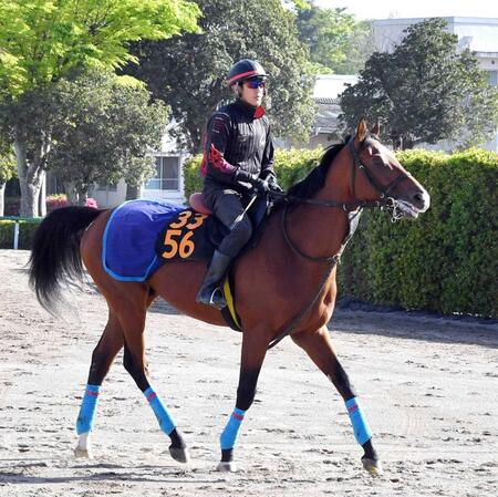 　タイトル奪取をを目指すセイントエルモズ