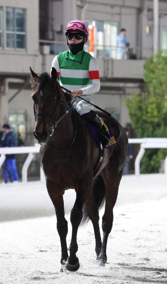 ２着に沈んだロックターミガン