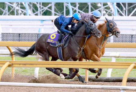 　抜群の仕上がりをアピールしたクロワデュノール（手前）＝撮影・石湯恒介
