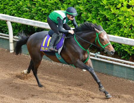 　タガノデュード