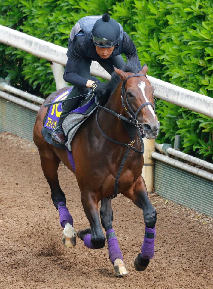 　軽快に栗東坂路を駆け上がったスティンガーグラス