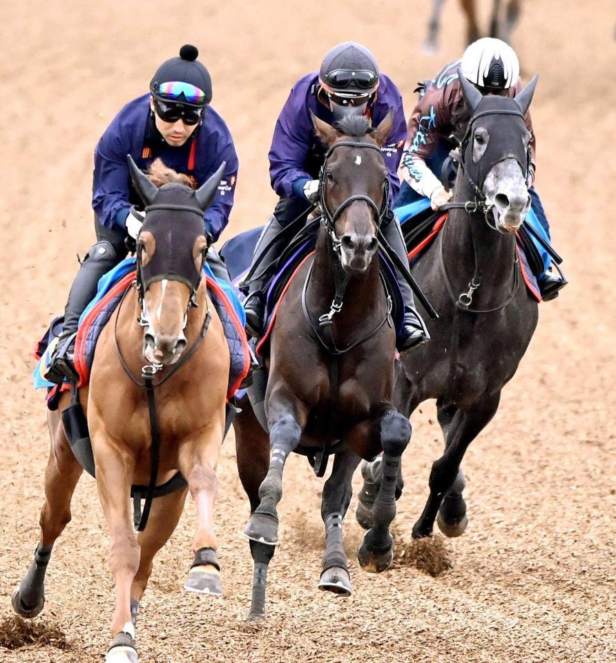 　３頭併せで追い切ったヘデントール（中央）＝撮影・園田高夫