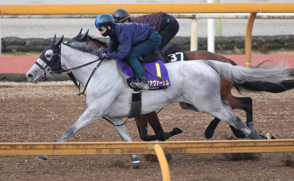 　アクアヴァーナル