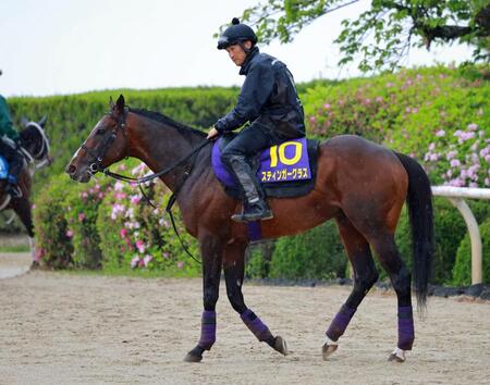 スティンガーグラス