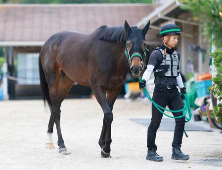 　確実に力をつけてきたタガノデュード（撮影・石湯恒介）