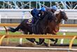 【東京＆京都の危険な人気馬】クロワデュノール　京都11Ｒ・天皇賞（春）