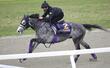 【天皇賞・春】展開から浮上するのはこの馬だ