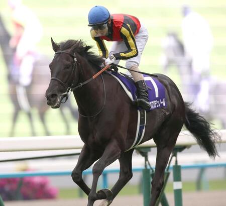 天皇賞を制したクロワデュノール（撮影・坂部計介）
