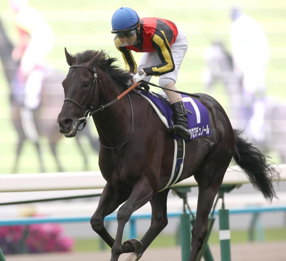 天皇賞を制したクロワデュノール（撮影・坂部計介）