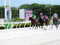 重賞初勝利を挙げたフラフ（左から２頭目）＝撮影・中山伸治