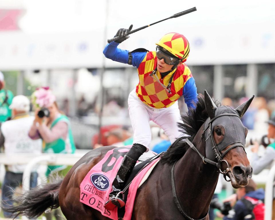 　ダートの本場でＧ１初挑戦初Ｖを飾ったテーオーエルビス（ｃ）Ｃｏａｄｙ　Ｍｅｄｉａ