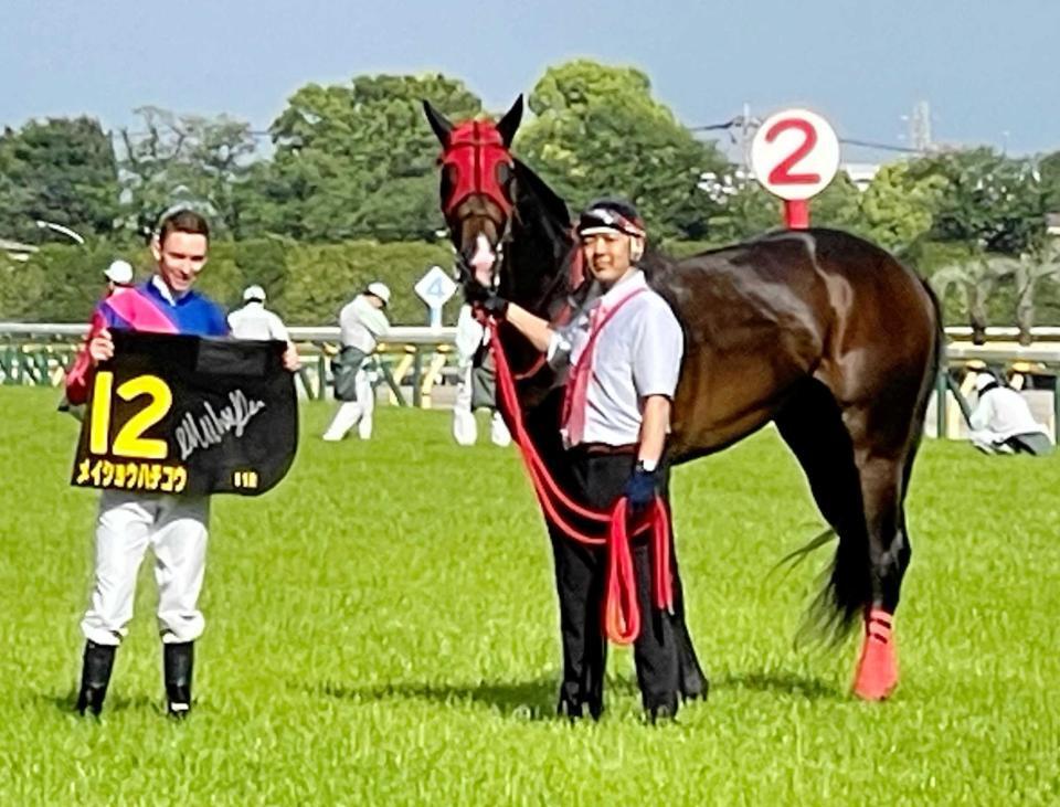 　夢舞台への切符を勝ち取ったメイショウハチコウ