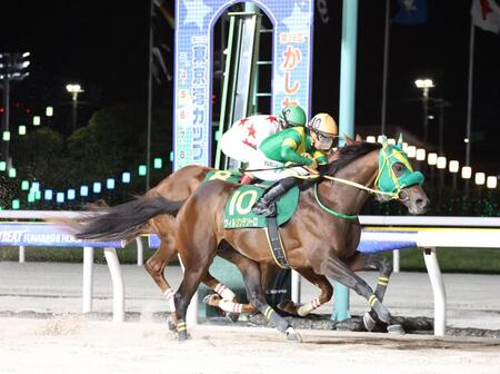 かしわ記念を制したウィルソンテソーロ（手前）と川田将雅騎手