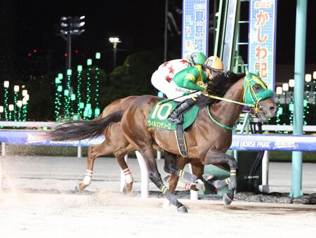 かしわ記念を制したウィルソンテソーロ（手前）と川田将雅騎手