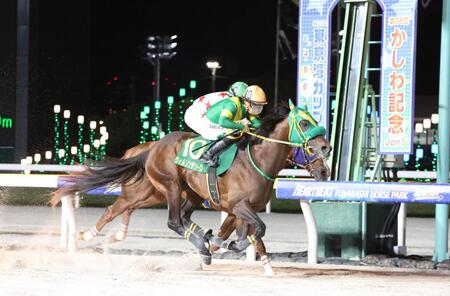 かしわ記念を制したウィルソンテソーロ（手前）と川田将雅騎手