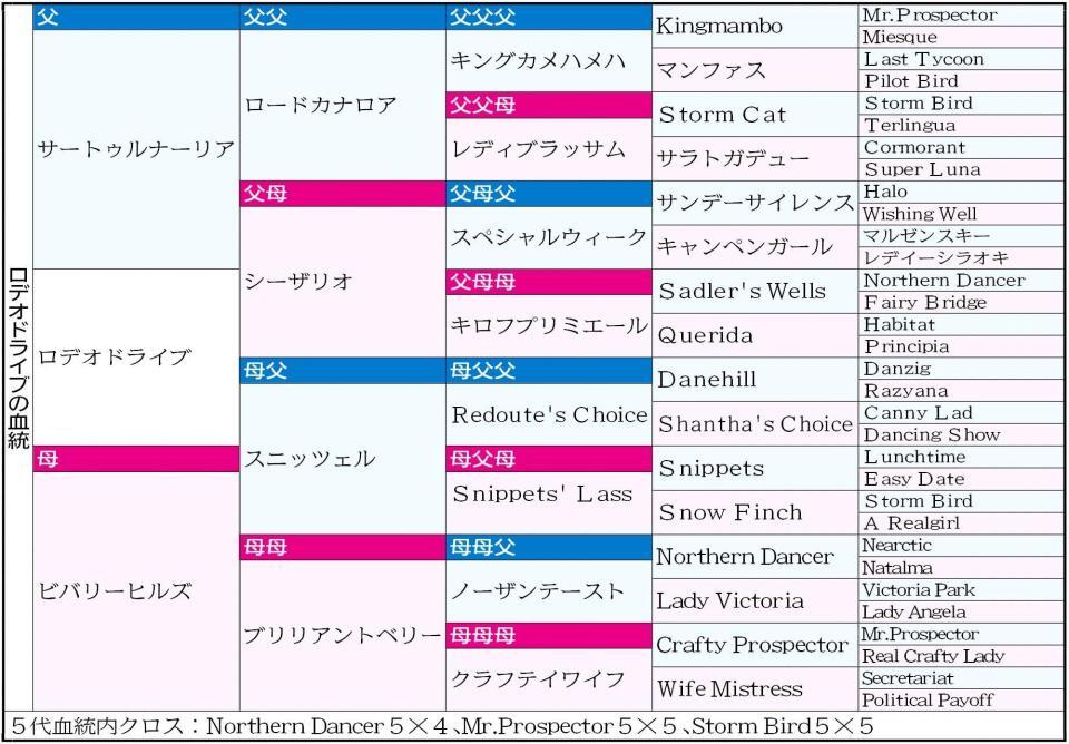 　ロデオドライブ５代血統表