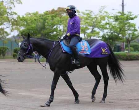トロヴァトーレ