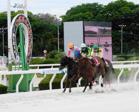 ダートグレード初勝利を挙げたサトノボヤージュ（手前）＝撮影・中山伸治